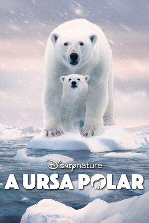 A Ursa Polar Dual Áudio