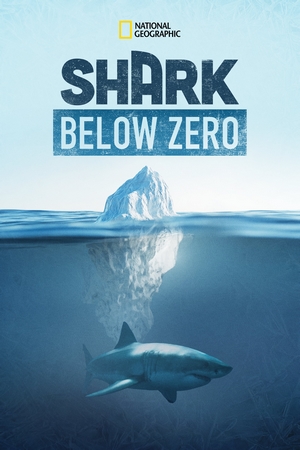 Shark Below Zero Dual Áudio